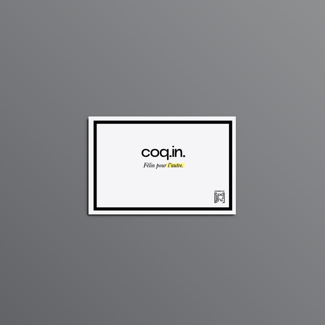 15X10CM_COQIN